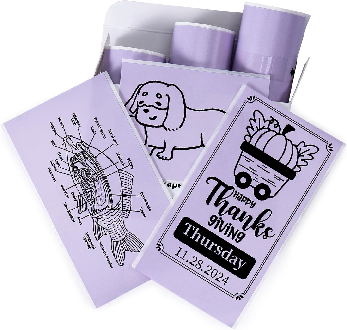 Memoking T02 / M02X / M02L Sticker Paper - Purple Sticky T02 Mini Printer Sticker Paper Refill, 50 mm x 3.5 m, Keep for 20 yrs, for Journal Photo Study Notes, 3 Rolls