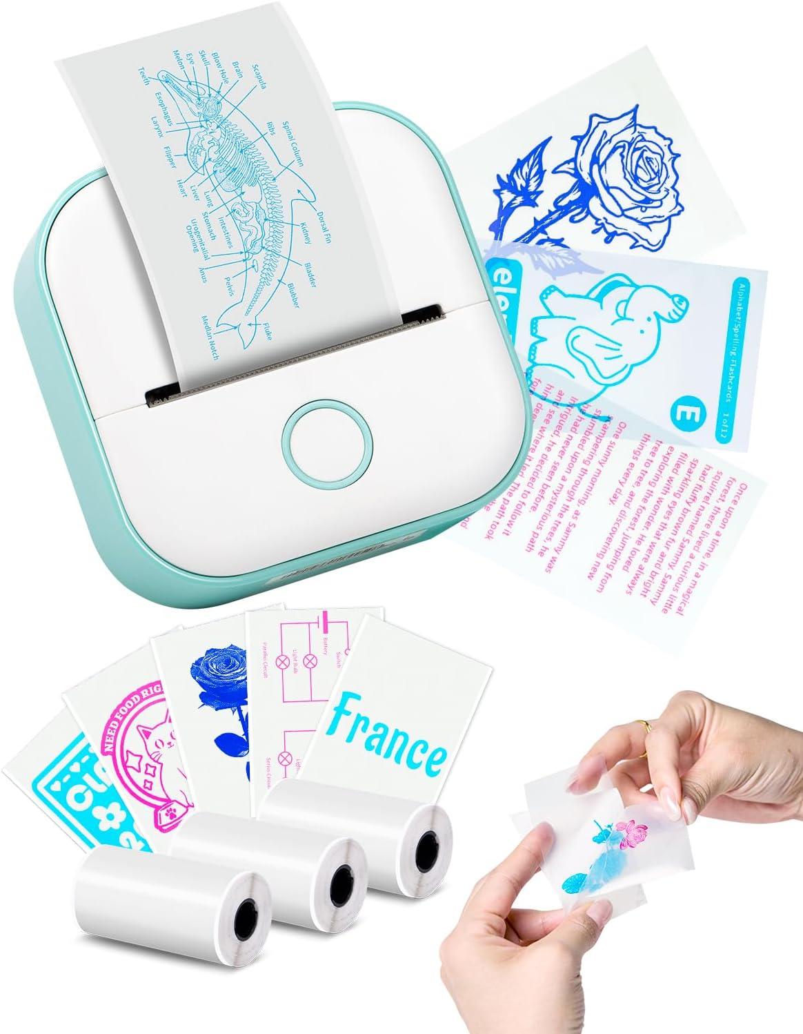 Print Pods Mini Printer - T02 Sticker Printer, Portable Thermal Inkless Label Maker Machine, Pocket Phone Adhesive Labeler for Study Graphic, Anatomical Diagram, Photo, Receipt, Green