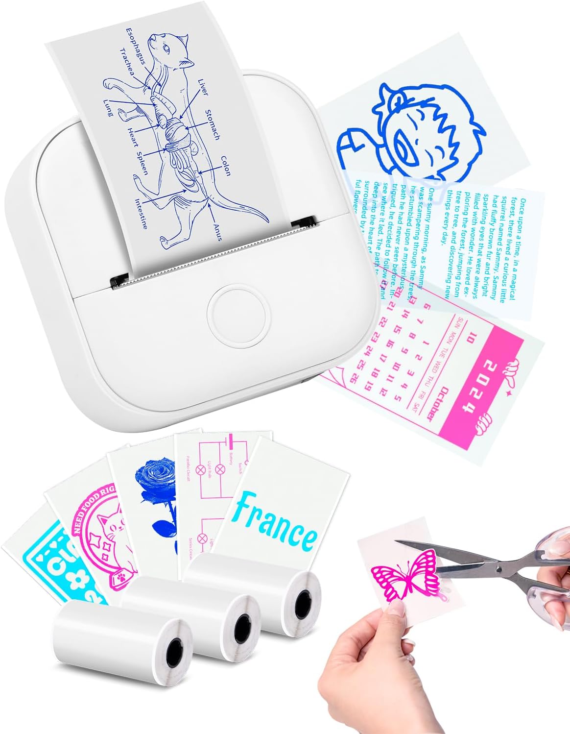 Memoking T02 Sticker Printer - Print Pods Mini Printer Portable Thermal Inkless Label Maker Pocket Phone Labeling Machine for Study Graphic, Anatomical Diagram, Receipts, Photo, White