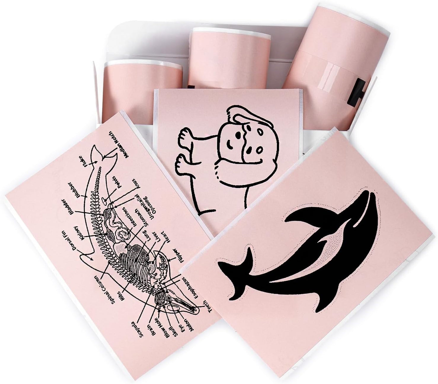 Memoking T02 / M02X / M02L Sticker Paper - Pink Sticky T02 Mini Printer Sticker Paper Refill, 50 mm x 3.5 m, Keep for 20 yrs, for Journal Photo Study Notes, 3 Rolls