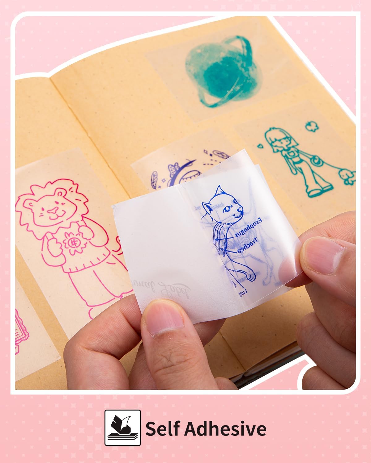 Memoking T02 Color Sticker Paper - Colorful Transparent Sticky T02 Mini Printer Sticker Paper Refill, 50 mm x 3.5 m, Keep for 20 yrs, for Journal Photo Study Notes, 3 Rolls