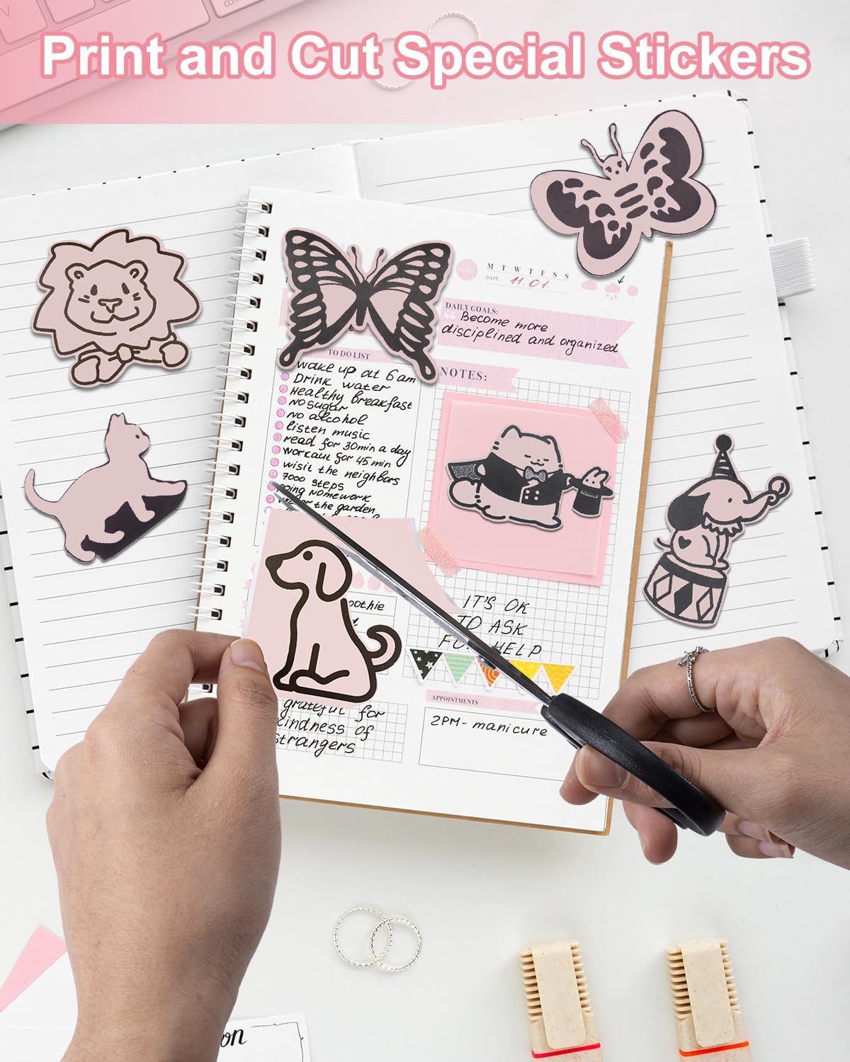 Memoking T02 / M02X / M02L Sticker Paper - Pink Sticky T02 Mini Printer Sticker Paper Refill, 50 mm x 3.5 m, Keep for 20 yrs, for Journal Photo Study Notes, 3 Rolls