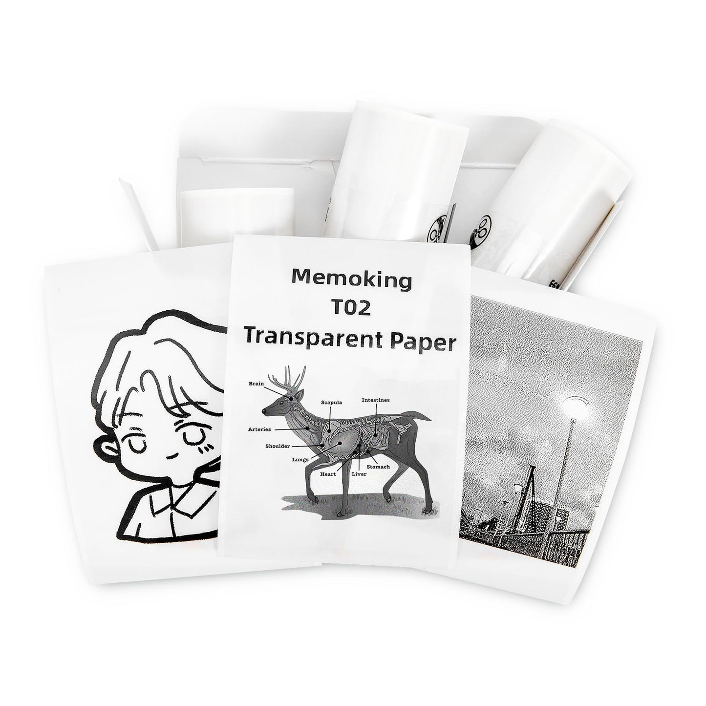 Memoking T02 Paper - T02 Thermal Labels, Clear/Transparent Paper, 3 Rolls
