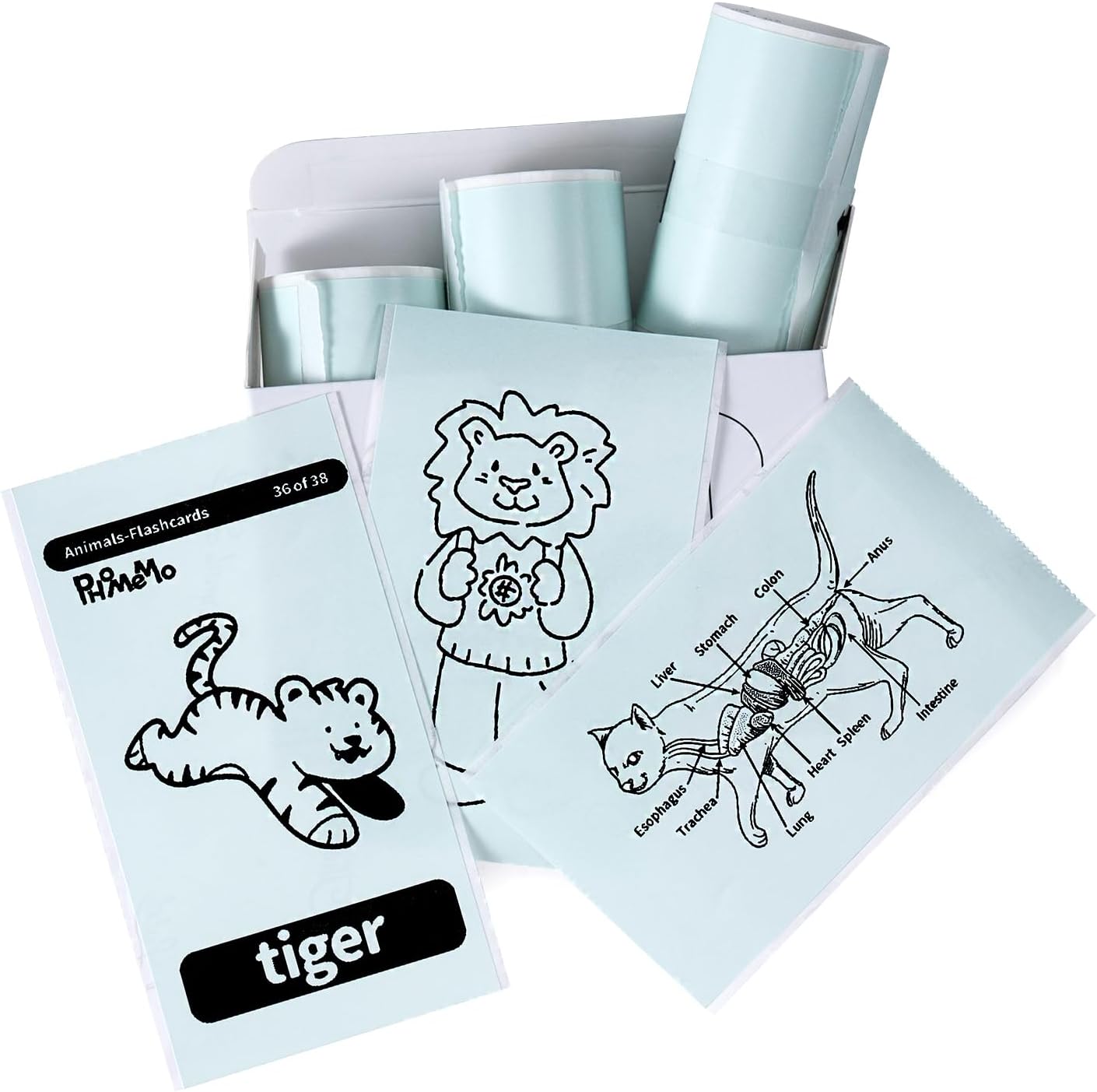 Memoking T02 / M02X / M02L Sticker Paper - Light Green Sticky T02 Mini Printer Sticker Paper Refill, 50 mm x 3.5 m, Keep for 20 yrs, for Journal Photo Study Notes, 3 Rolls