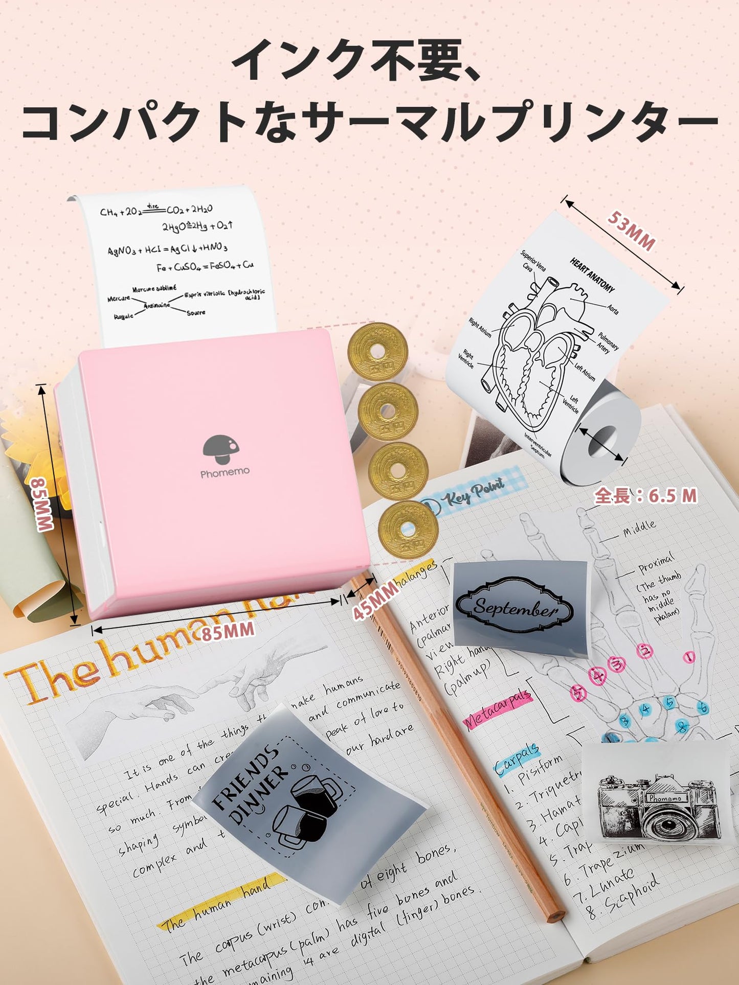 サーマルプリンター M02 ミニプリンター Memoking スマホ対応 モバイルプリンター 感熱プリンター メモプリンター コンパクトプリンター フォトプリンター Bluetooth接続 学習ノート/はがき/写真アルバム/手帳/メモ/買い物リストに使用 専用アプリ 日本語対応 3本ロール状の感熱紙が付属 フォメモ ピンク