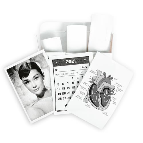 Memoking T02/M02X/M02L White Thermal Paper-10-Year Non-Sticky 53mmx6.5m for Journal Photo Texts Study Notes and More, 3 Rolls